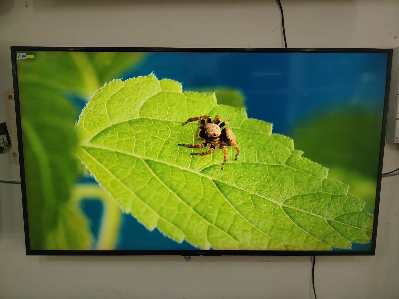 Sony 55” Smart TV (4K UHD-Refurbished | Full HD, WiFi, YouTube & Netflix
